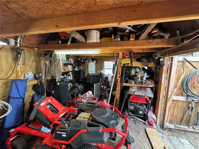 a view of a dry yard with trees