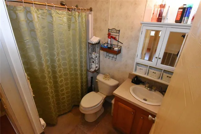 a view of a forest filled with trees