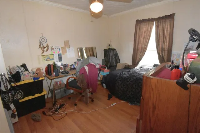 a white house that has a tree in front of it