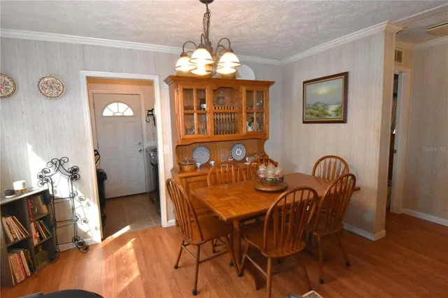 a view of a yard with large trees