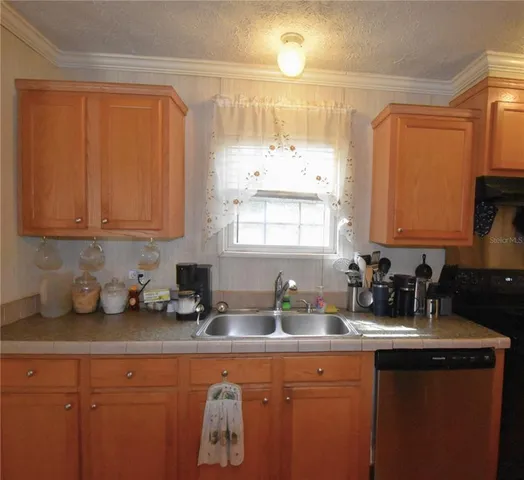 a view of a forest with lots of trees