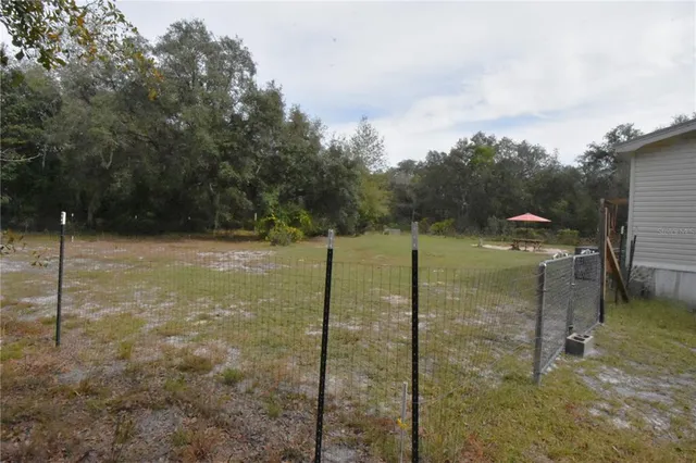 a view of a dry yard