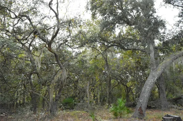 $284,900 | 126 Terrell Street, Interlachen, FL 32148