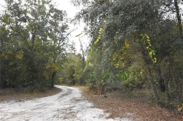 $284,900 | 126 Terrell Street, Interlachen, FL 32148