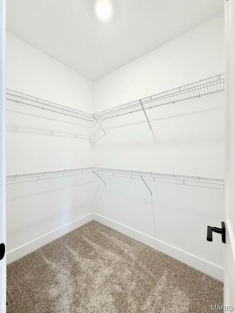 169 Gall Road Columbia, IL 62236 - Photo 72 of 90