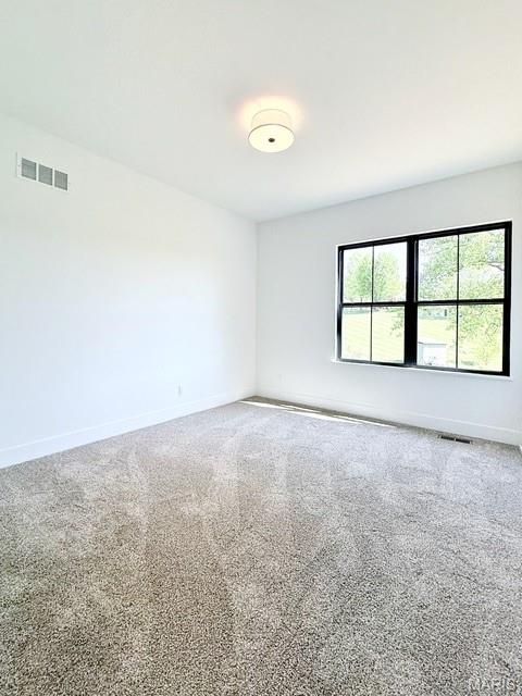 169 Gall Road Columbia, IL 62236 - Photo 75 of 90