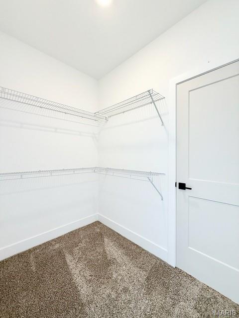 169 Gall Road Columbia, IL 62236 - Photo 80 of 90