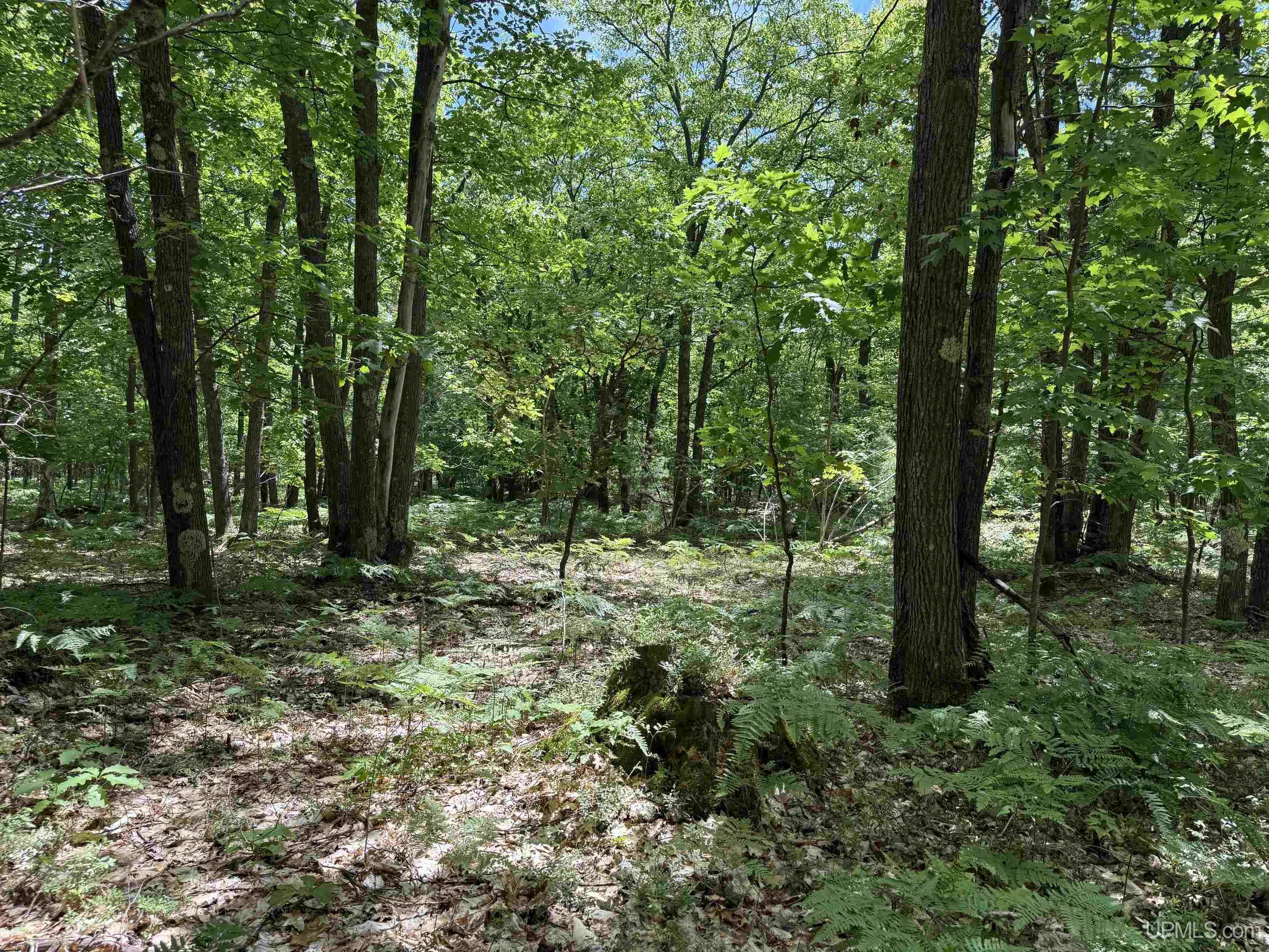 Tbd23 Senter Road Dollar Bay, MI 49922 - Photo 15 of 17
