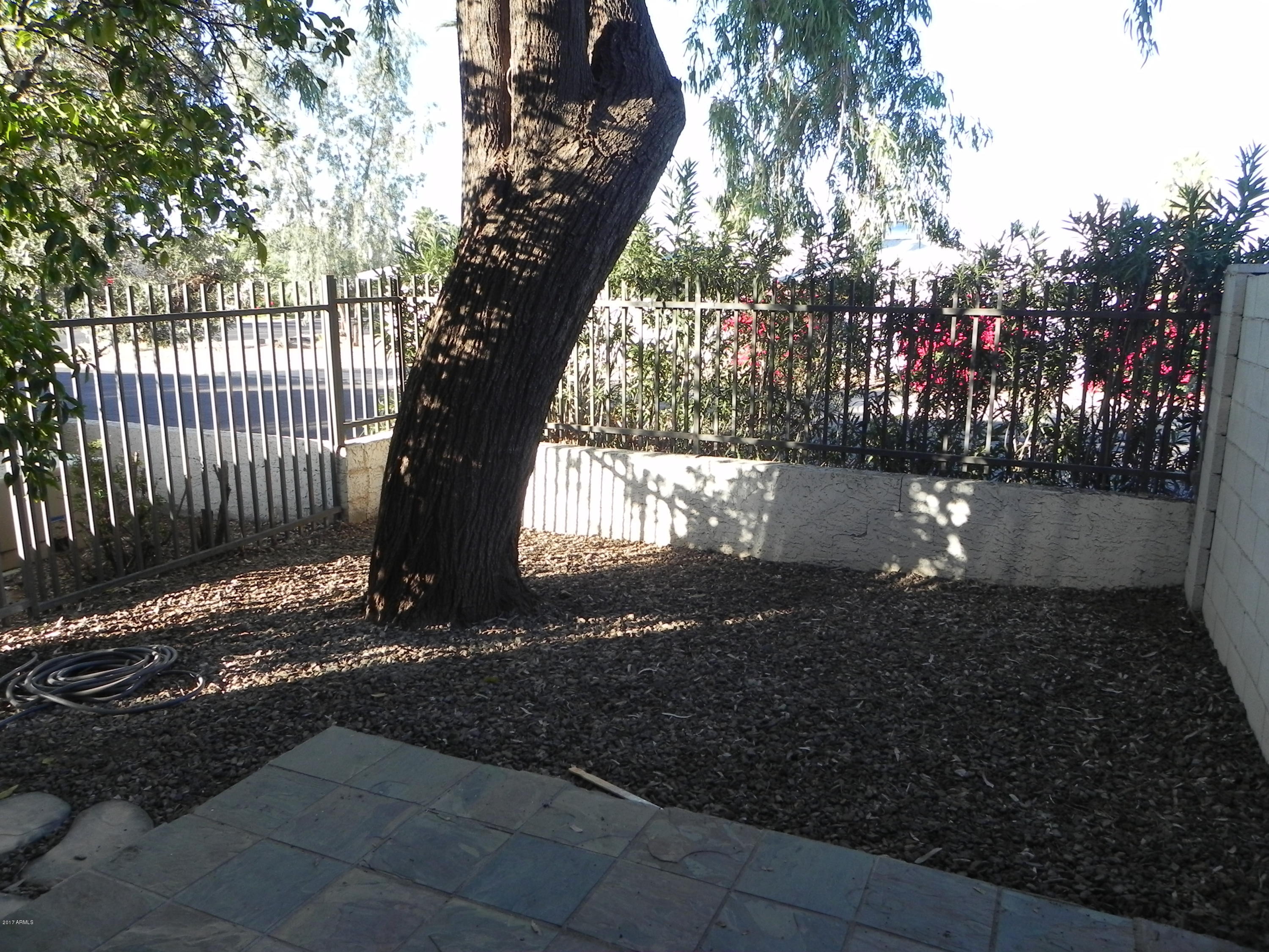 1402 East Osborn Road, Unit 18 Phoenix, AZ 85014 - Photo 11 of 11 11 Patio