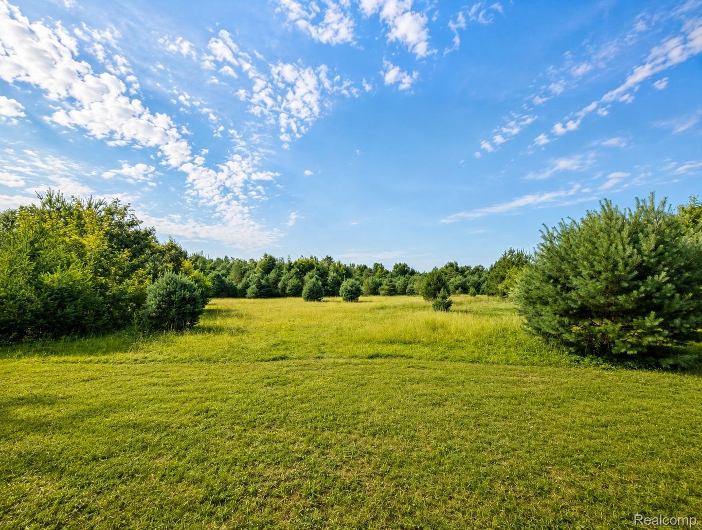 643 North Hockaday Road Gladwin, MI 48624 - Photo 23 of 24 Enhanced_Land_Photo.jpg