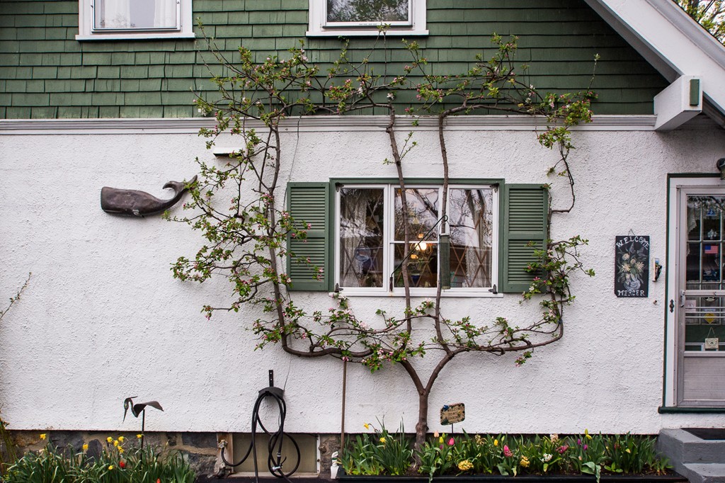 34 Willoughby Road Milton, MA 02186 - Photo 24 of 25