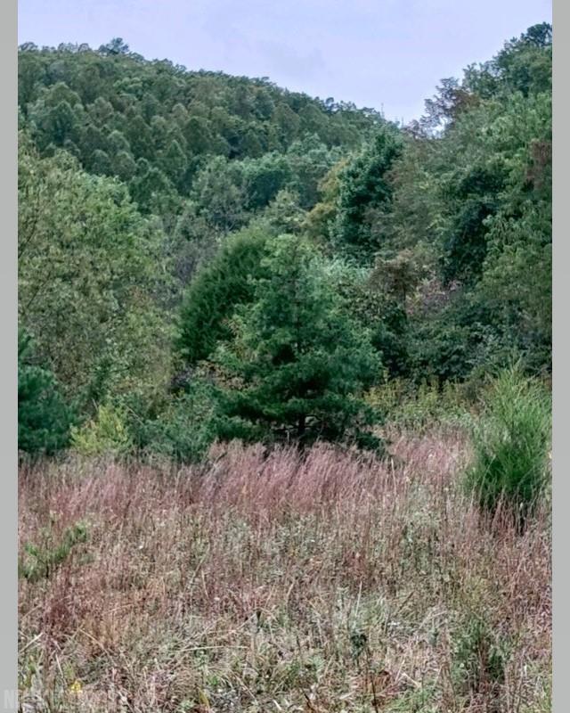 Tbd Sunflower Road Pilot, VA 24138 - Photo 1 of 7 Gallery Image 1