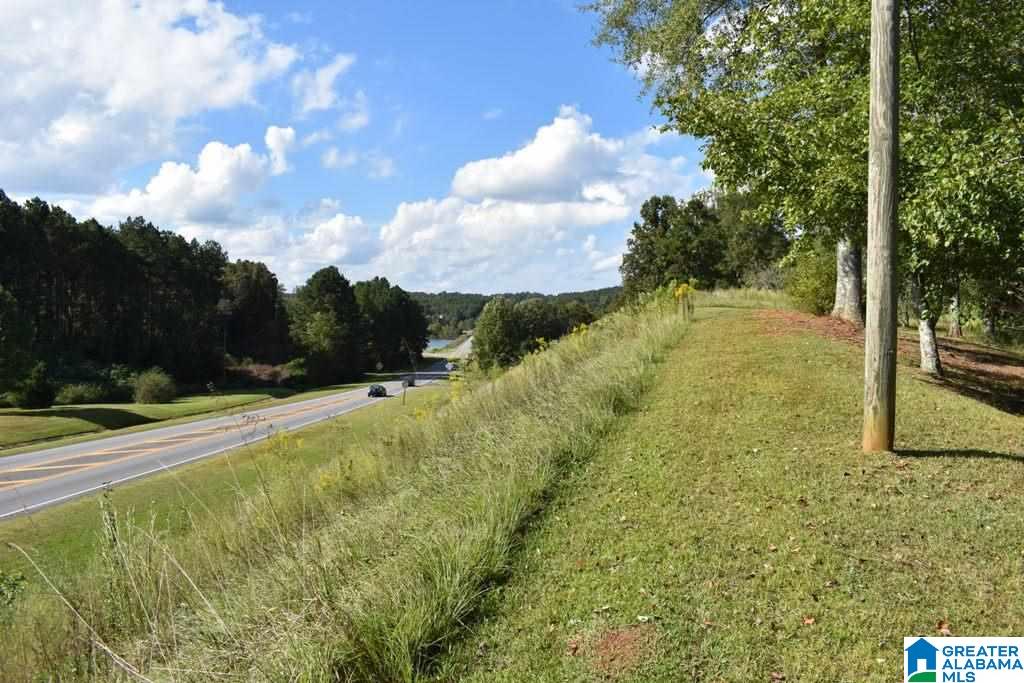 141 Highway 431 Wedowee, AL 36278 - Photo 4 of 11
