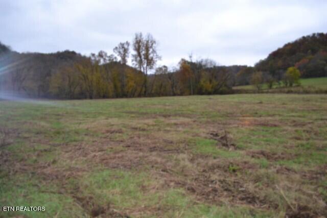 146 Copeland Road Celina, TN 38551 - Photo 17 of 37 DSC_0038