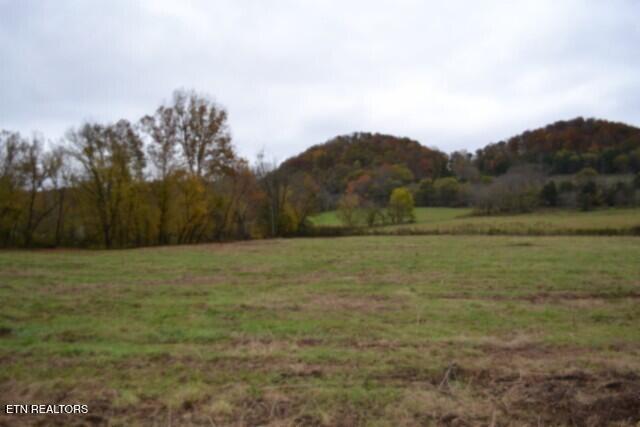 146 Copeland Road Celina, TN 38551 - Photo 21 of 37 DSC_0043