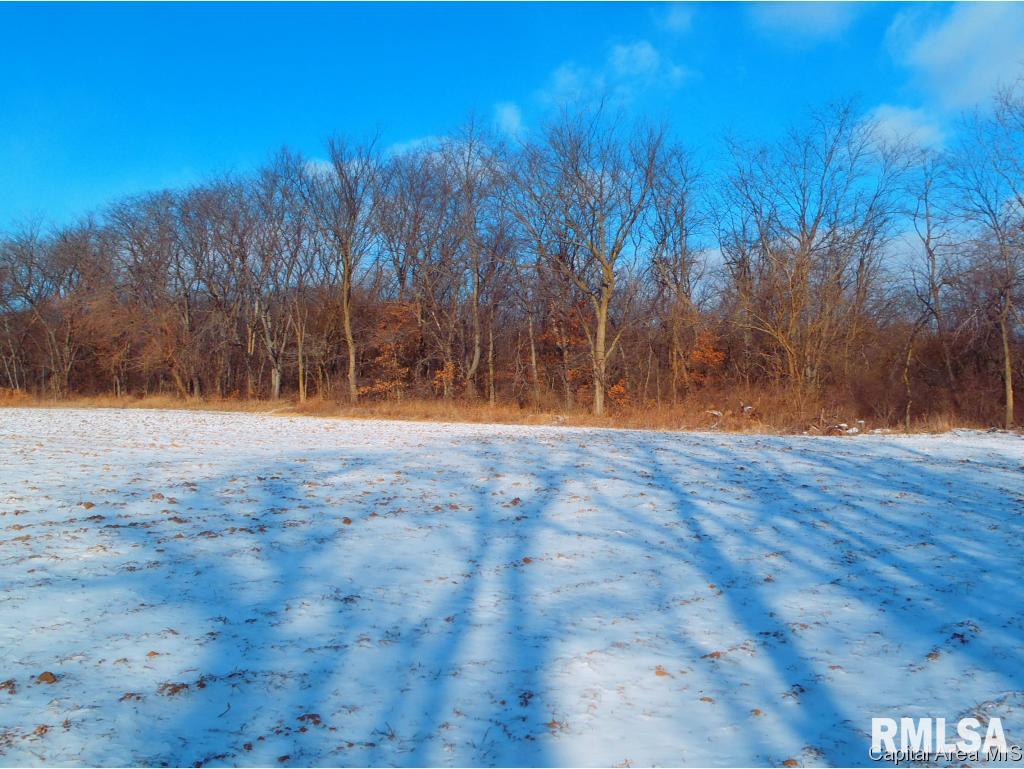 Gridley Road Virginia, IL 62691 - Photo 1 of 6