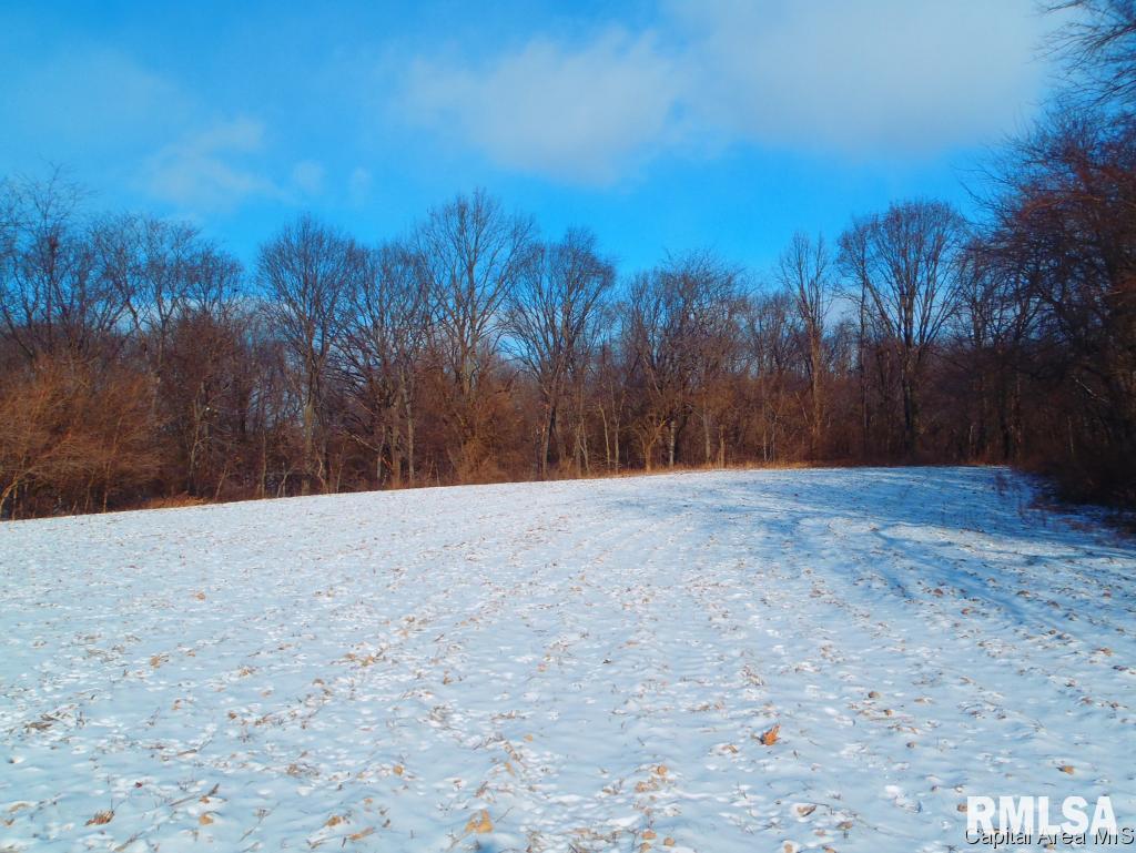 Gridley Road Virginia, IL 62691 - Photo 2 of 6