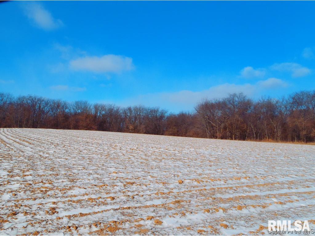 Gridley Road Virginia, IL 62691 - Photo 3 of 6