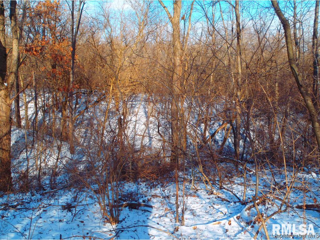 Gridley Road Virginia, IL 62691 - Photo 4 of 6