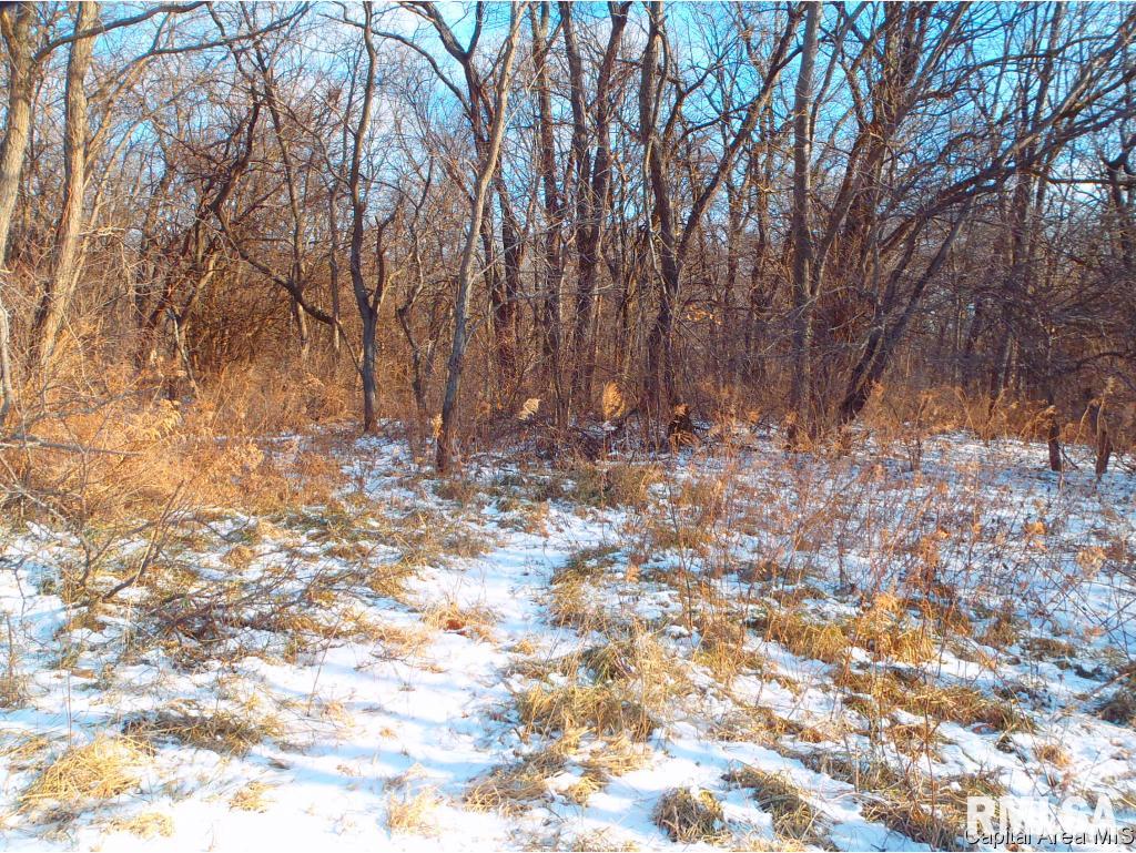 Gridley Road Virginia, IL 62691 - Photo 6 of 6