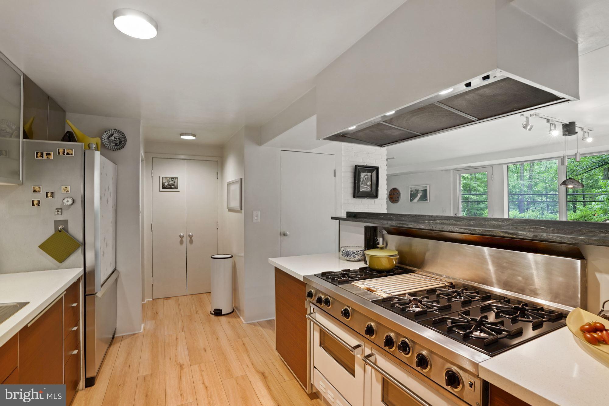 2109 Paul Spring Road Alexandria, VA 22307 - Photo 16 of 74 Viking Stove and large pantry behind double doors