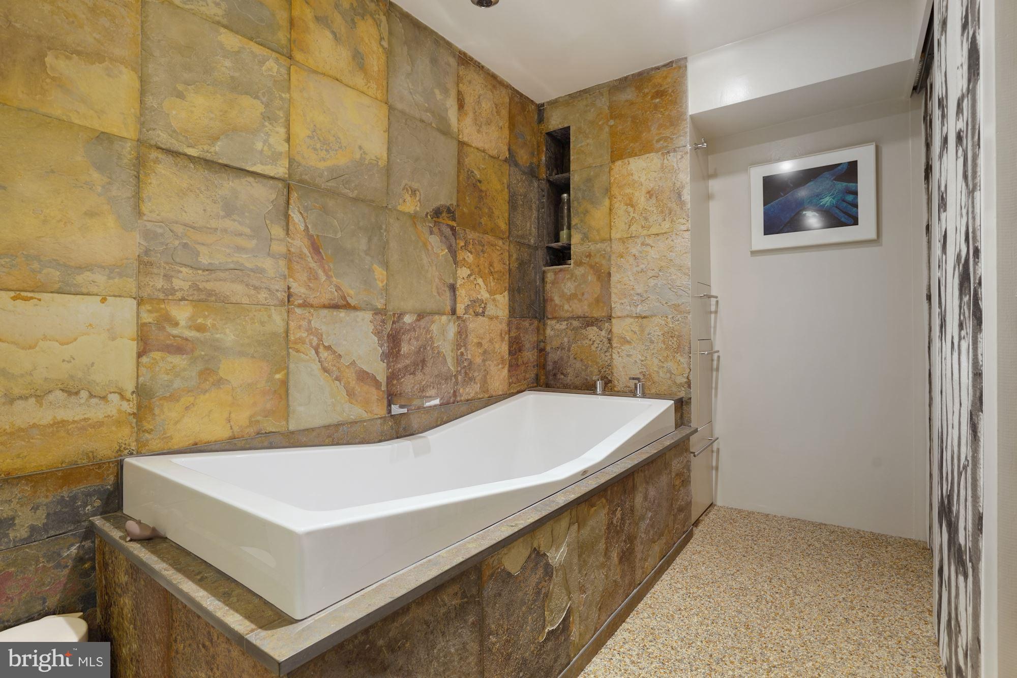 2109 Paul Spring Road Alexandria, VA 22307 - Photo 68 of 74 Hoesch butterfly soaking tub
