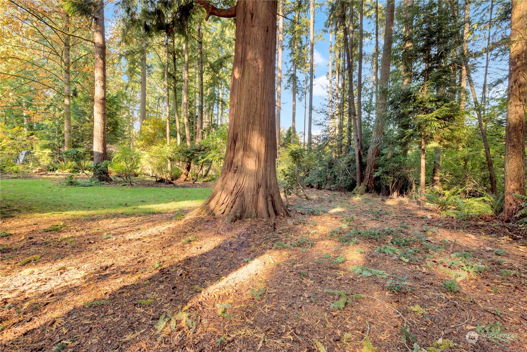 22215 49th Avenue Southeast Bothell, WA 98021 - Photo 32 of 35 a view of a backyard with garden