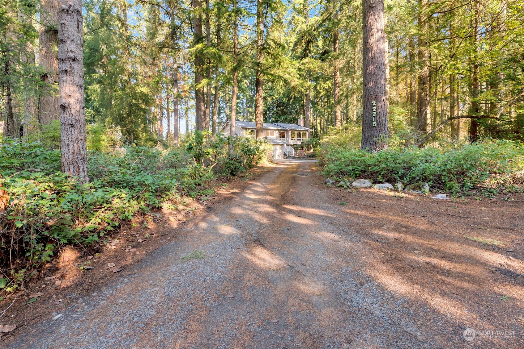 22215 49th Avenue Southeast Bothell, WA 98021 - Photo 34 of 35 a view of a street with a trees