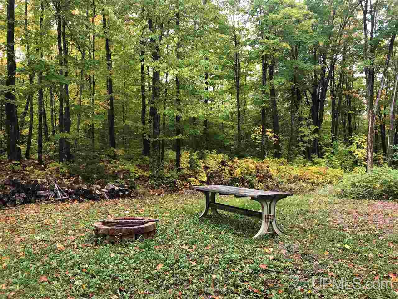 5.9-ac Off Chaney Coves Road, Unit 5 Bessemer, MI 49911 - Photo 2 of 12
