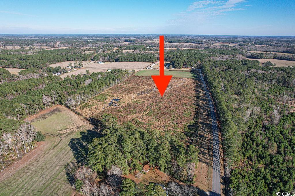 Tbd Billy Mc Road Green Sea, SC 29545 - Photo 4 of 6