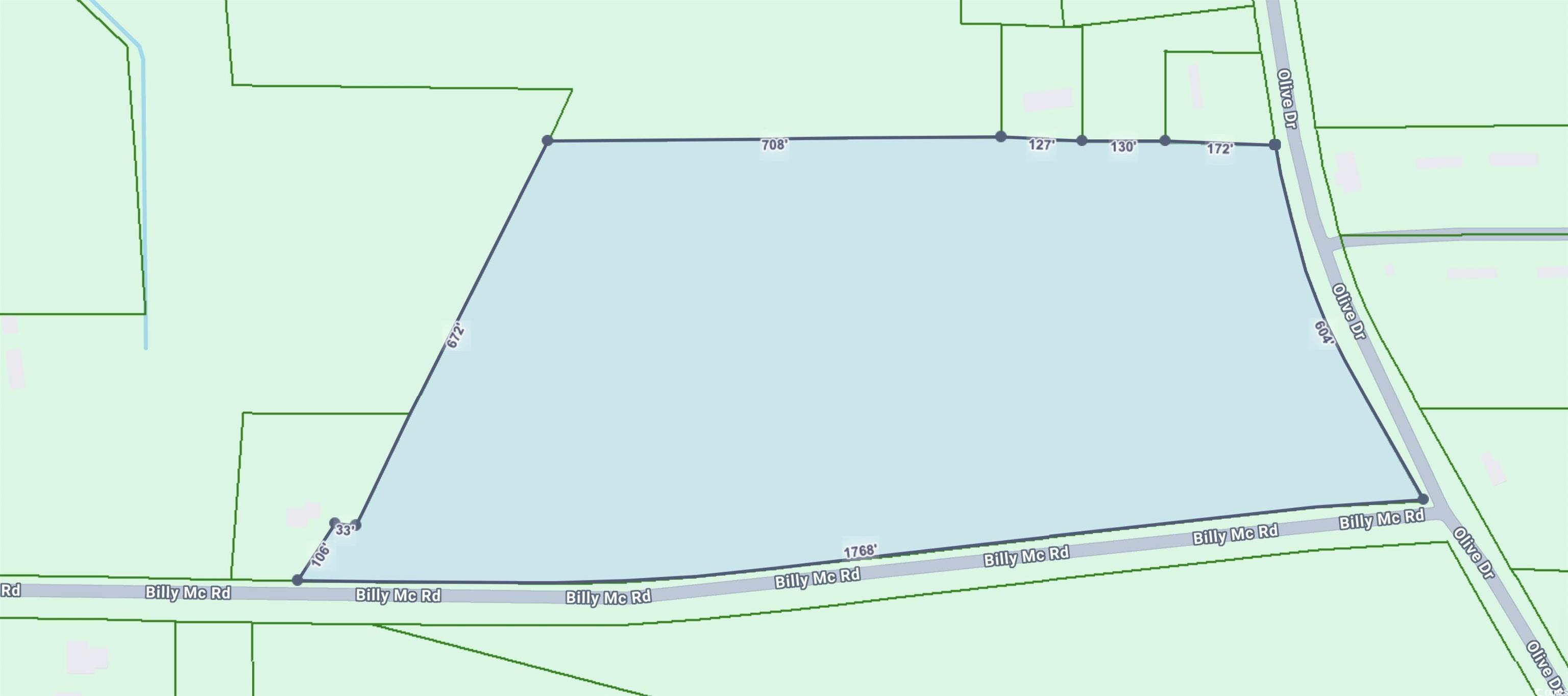 Tbd Billy Mc Road Green Sea, SC 29545 - Photo 5 of 6