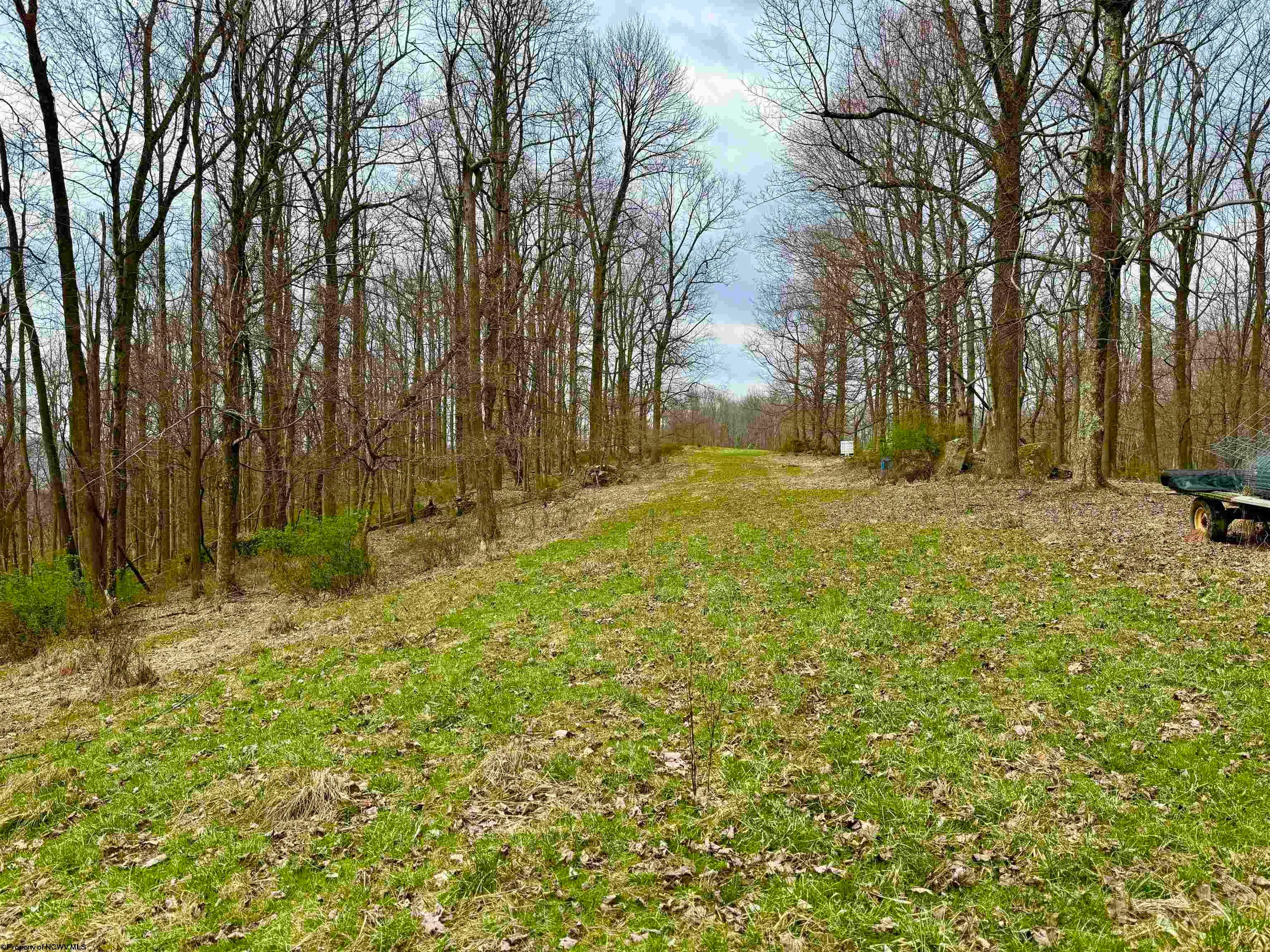 947 Murphy Road Philippi, WV 26416 - Photo 44 of 50 Gallery Image 44