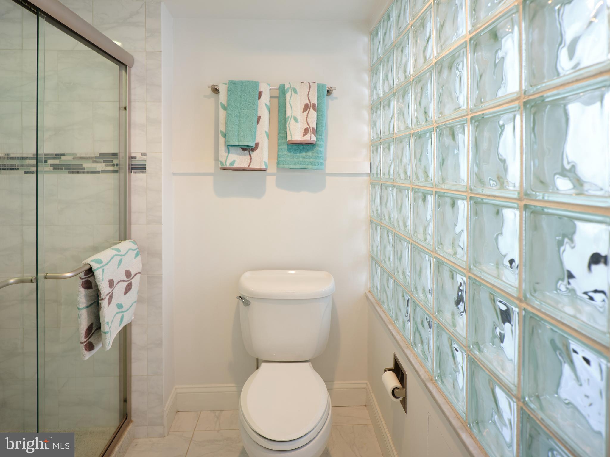 350 River Road, Unit D5 New Hope, PA 18938 - Photo 13 of 24 Primary shower