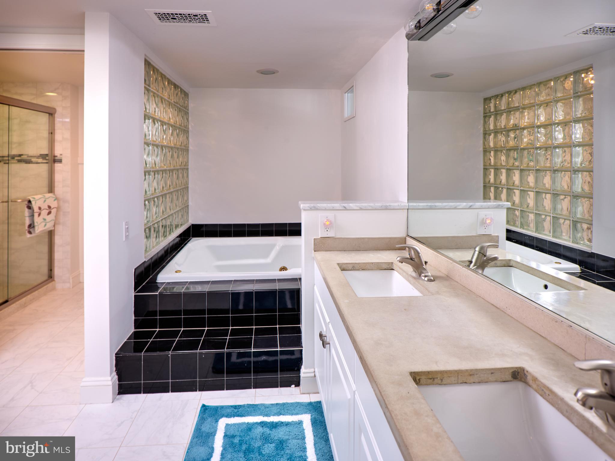 350 River Road, Unit D5 New Hope, PA 18938 - Photo 14 of 24 Primary double sinks and soaking tub