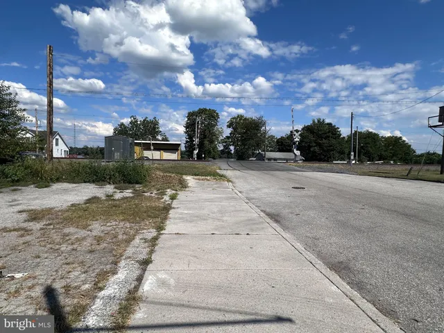 a view of outdoor space with garden and entertaining space