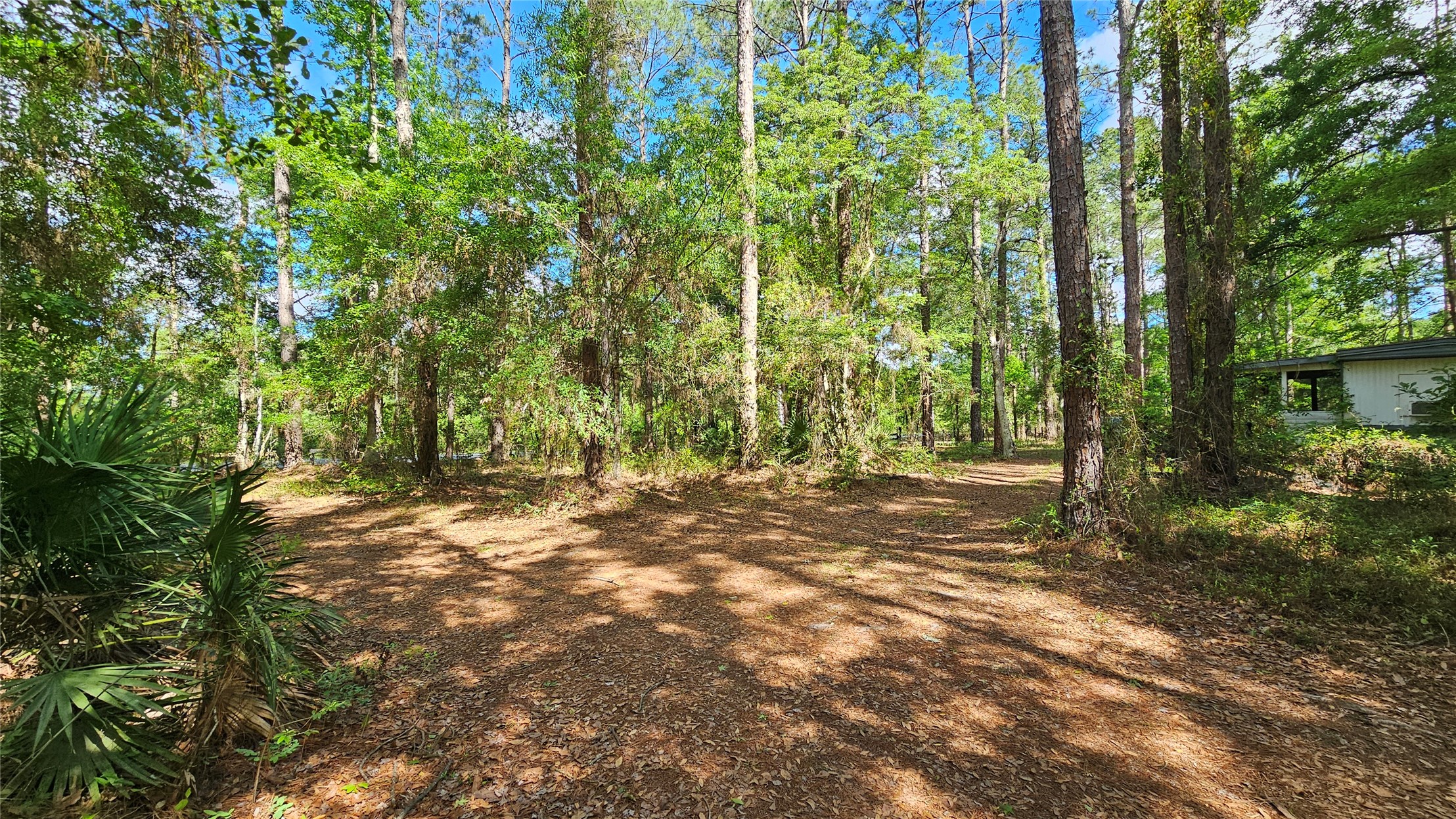 6324 Lannie Road Jacksonville, FL 32218 - Photo 58 of 60