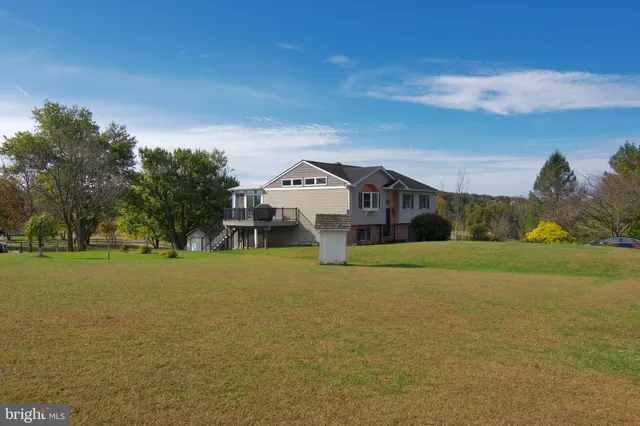 a flag is sitting in the middle of forest