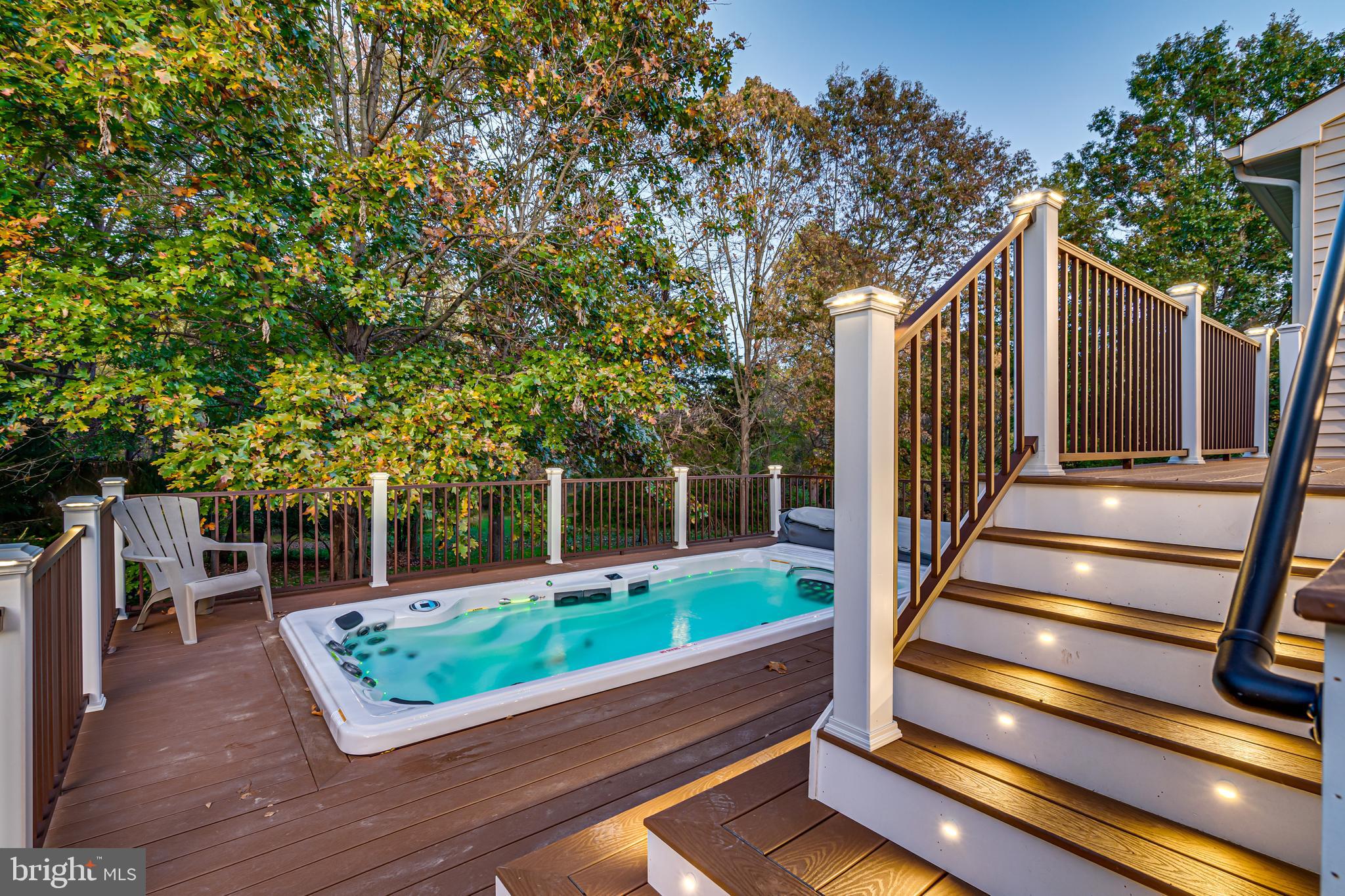 1286 Gatesmeadow Way Reston, VA 20194 - Photo 13 of 56 Swim Spa