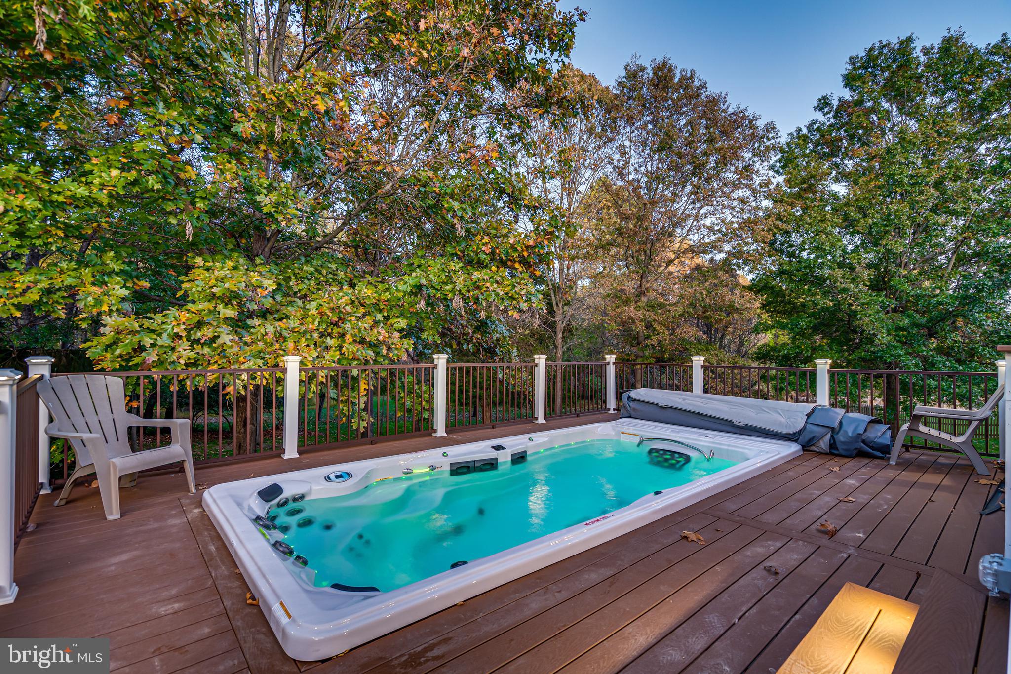 1286 Gatesmeadow Way Reston, VA 20194 - Photo 42 of 56 Swim Spa off Sunroom & Upper Deck