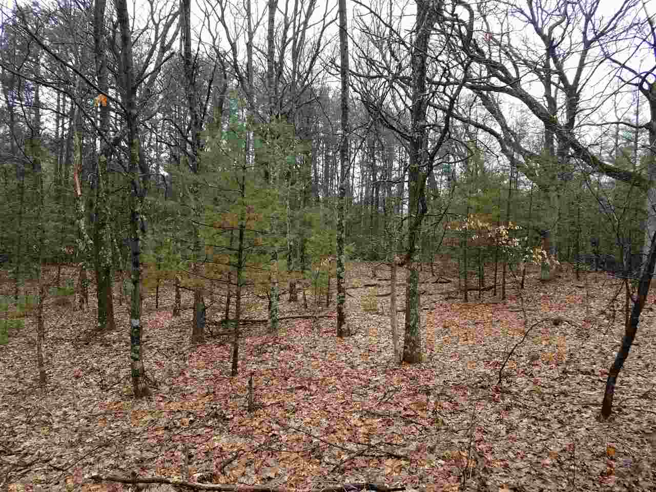 Lot 2 County Rd CC, Unit FAWN LN Coloma, WI 54930 - Photo 1 of 1
