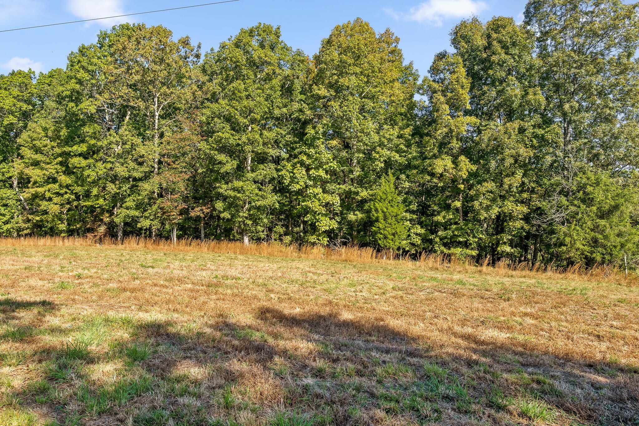 0 North Moore Road Rising Fawn, GA 30738 - Photo 17 of 30