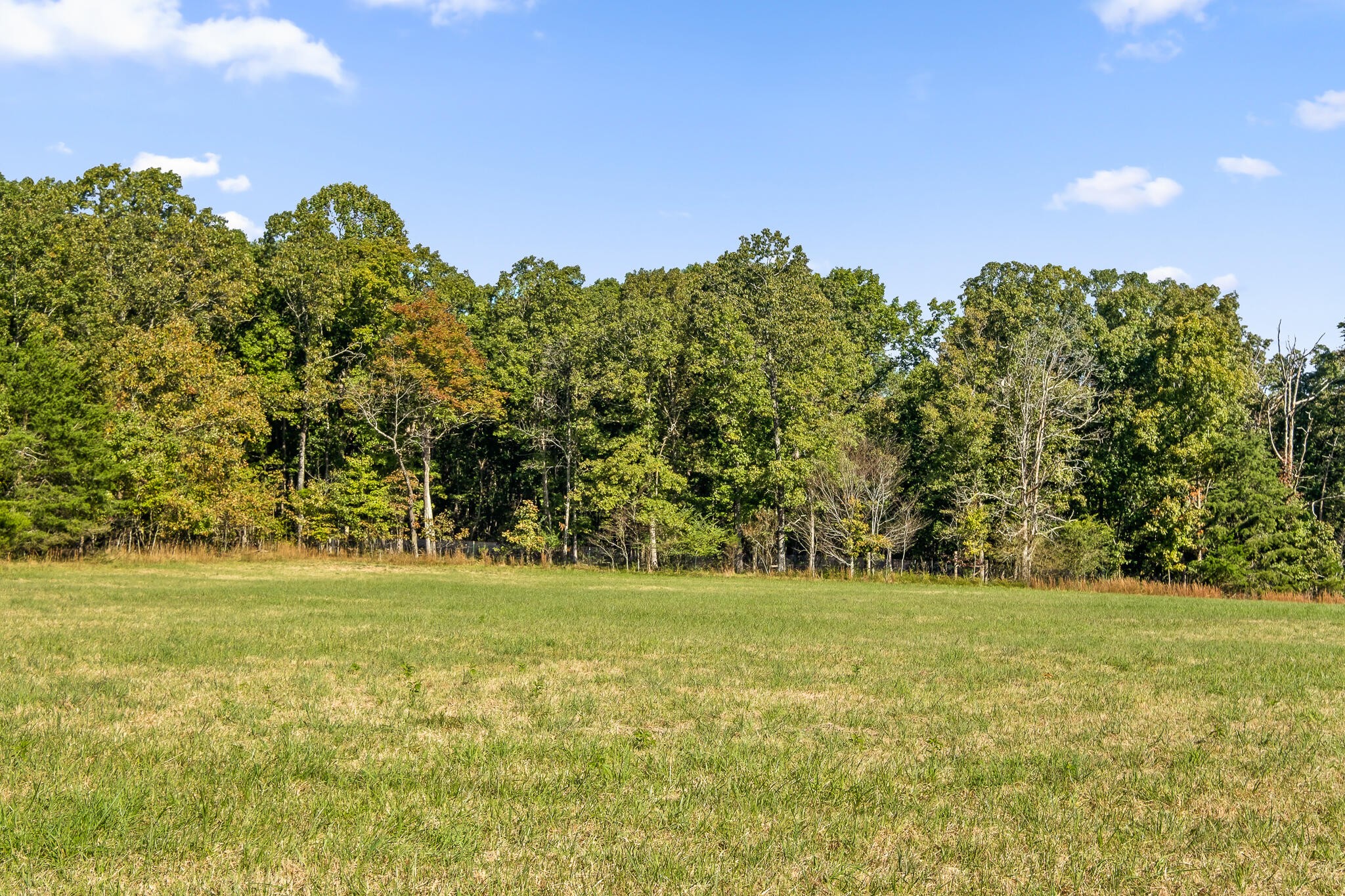 0 North Moore Road Rising Fawn, GA 30738 - Photo 3 of 30 a view of a green field with lots of bushes
