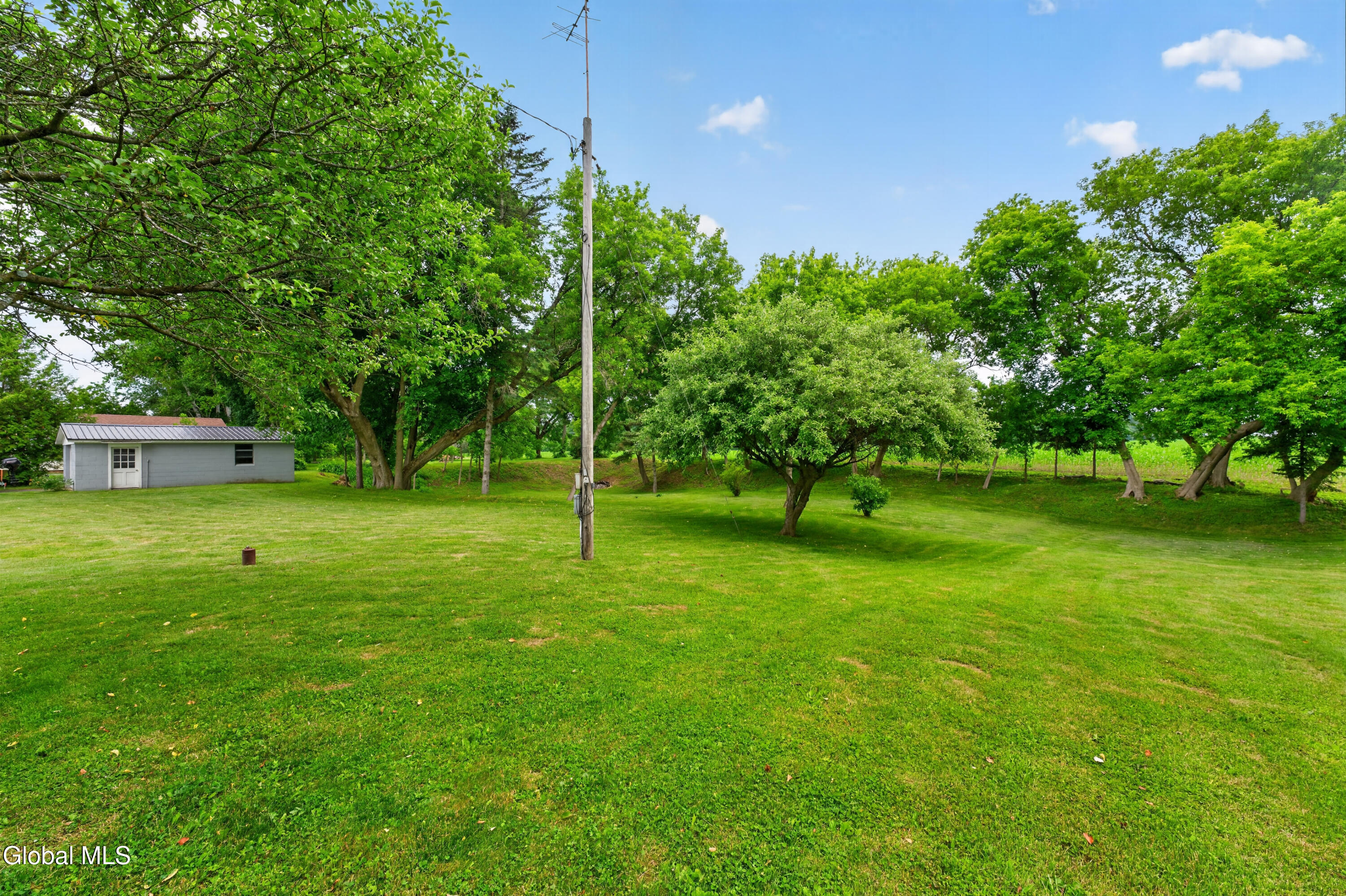 161 County Highway Springfield Center, NY 13468 - Photo 19 of 70 Yard 12