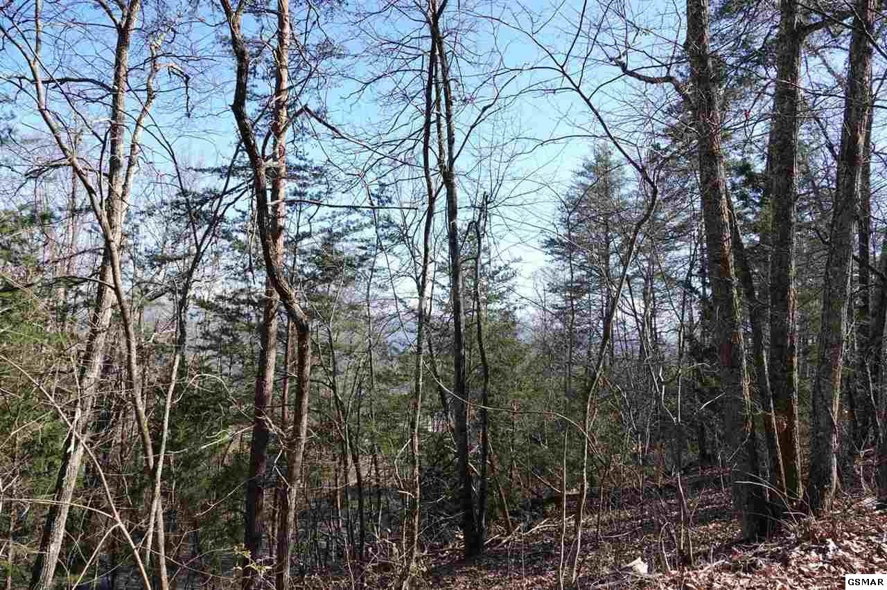 81 82a Shell Mountain Road Sevierville, TN 37876 - Photo 21 of 26