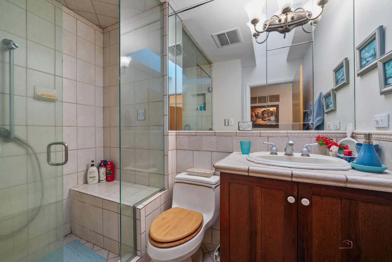 1161 Oak Spring Lane Libertyville, IL 60048 - Photo 16 of 30 a bathroom with a sink a toilet and shower