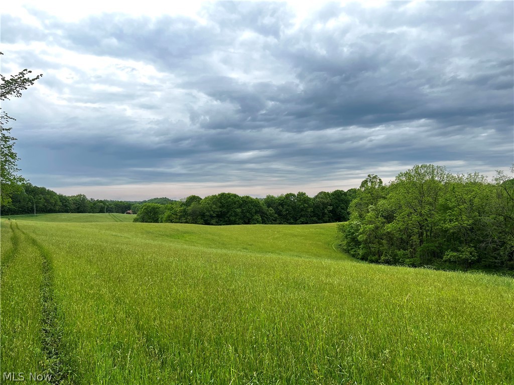 Sandy Ridge Road Southeast Tippecanoe, OH 44699 - Photo 2 of 27 Gallery Image 2