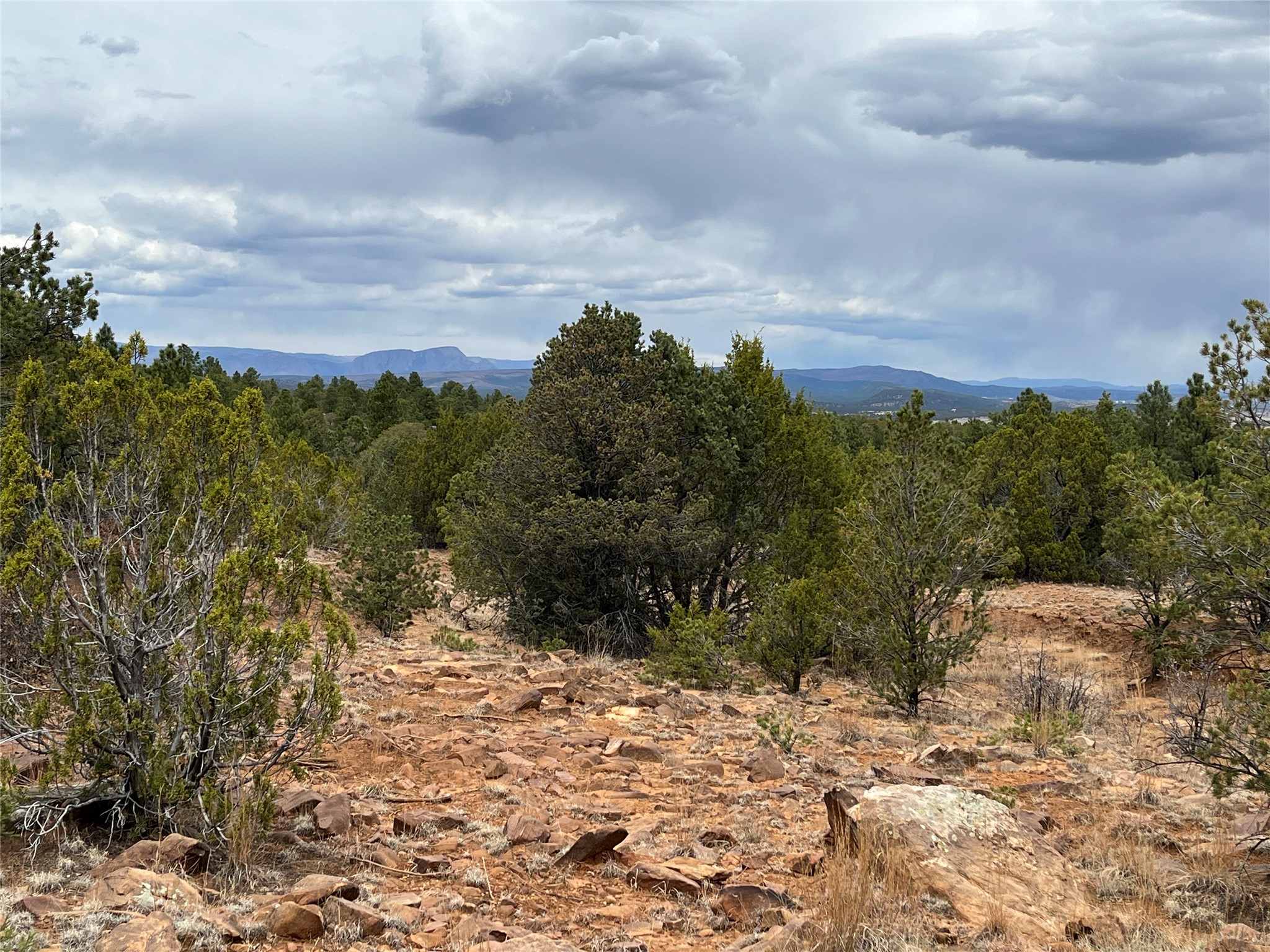 36 Blue Sky Road Las Vegas, NM 87701 - Photo 3 of 48 Mature pinon and ponderosa pine along with rock outcroppings are abundant on this property!