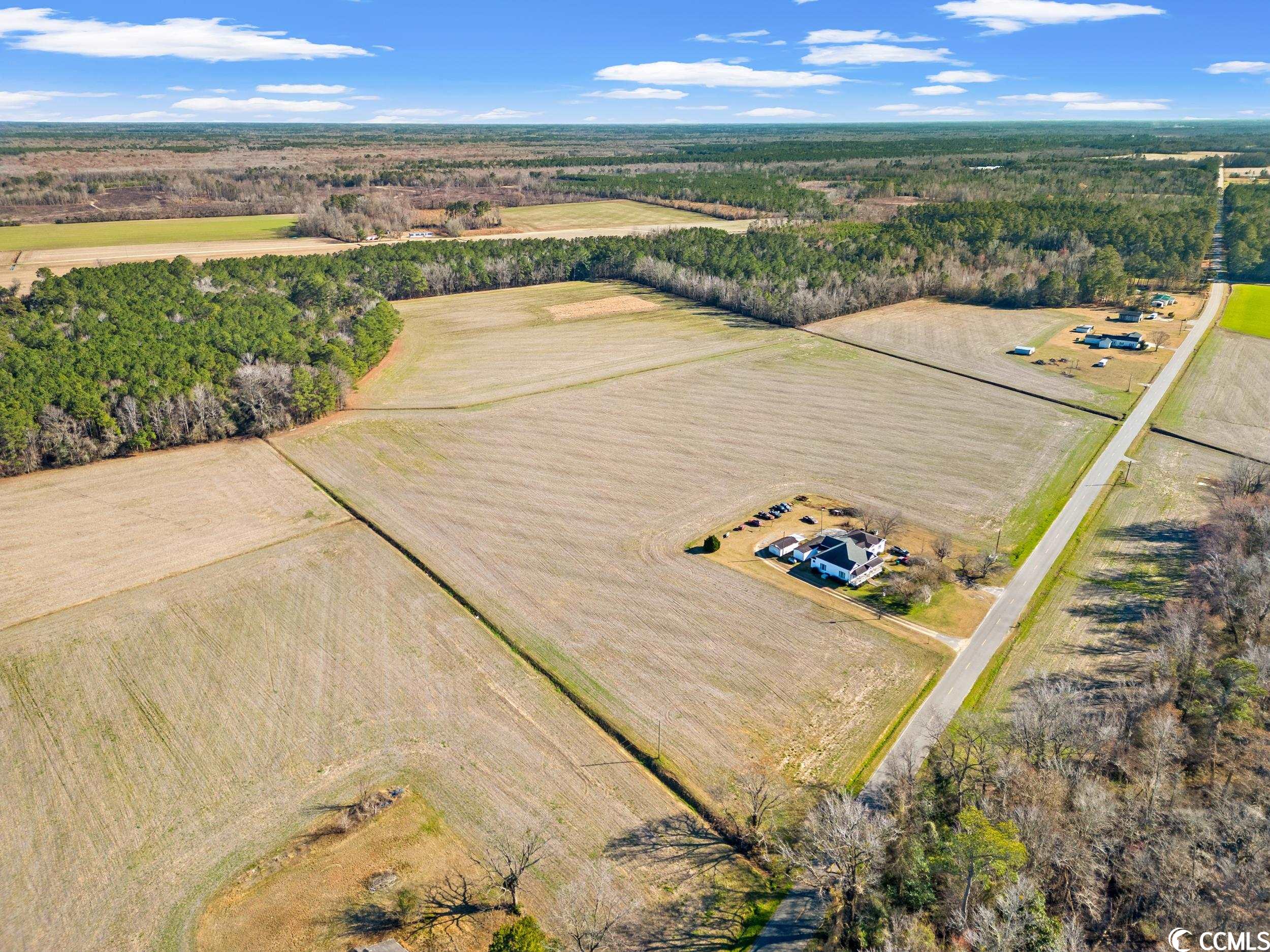 Tbd Kemper Road Nichols, SC 29581 - Photo 1 of 11 Gallery Image 1