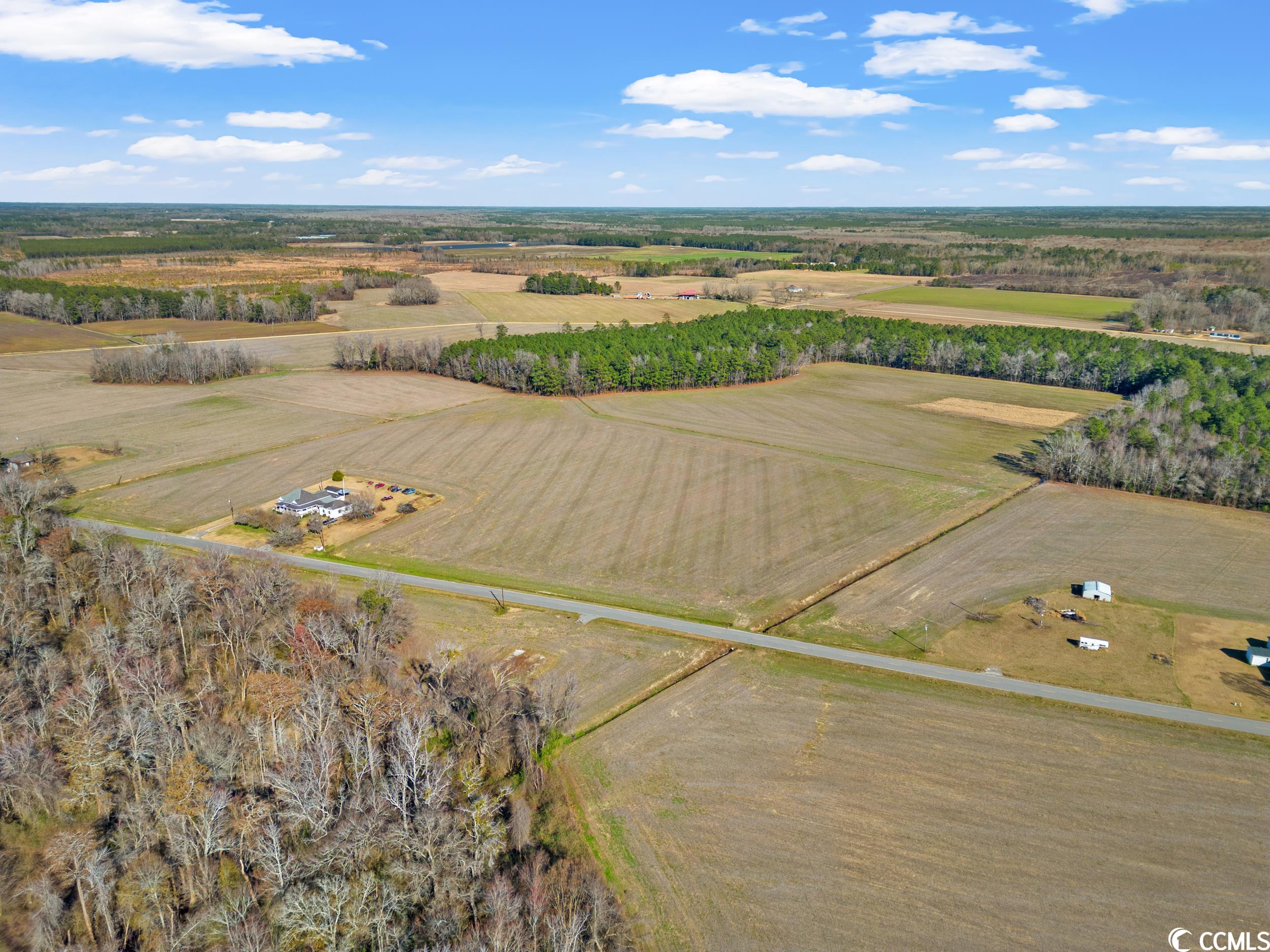 Tbd Kemper Road Nichols, SC 29581 - Photo 2 of 11 Gallery Image 2