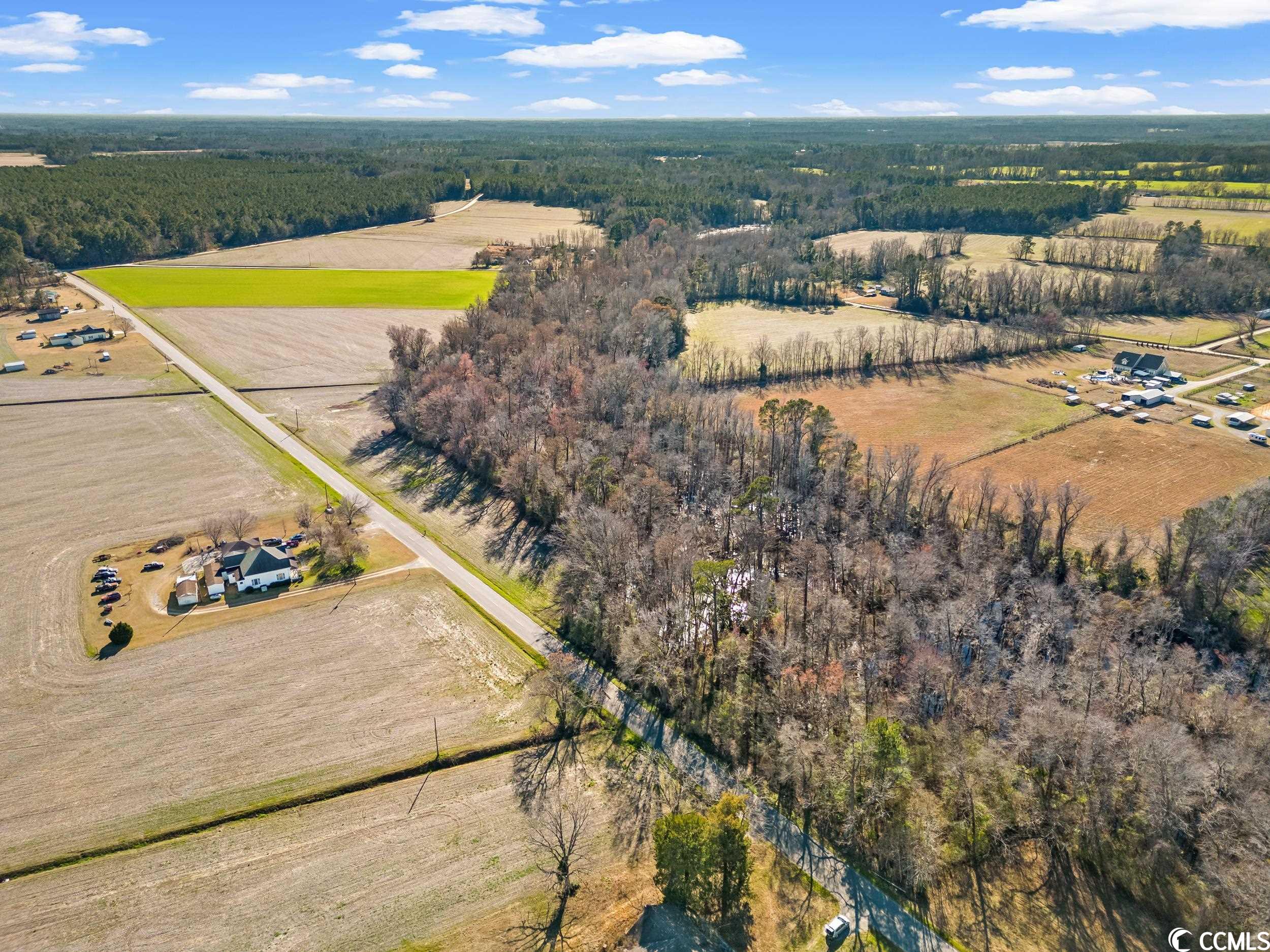 Tbd Kemper Road Nichols, SC 29581 - Photo 3 of 11 Gallery Image 3